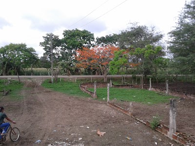 park