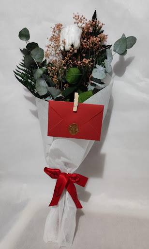 Toc D'amor - Visual