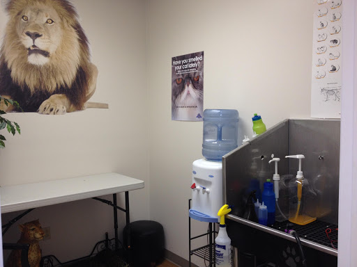 The Main Lion Cat Grooming Salon Gallery - United States