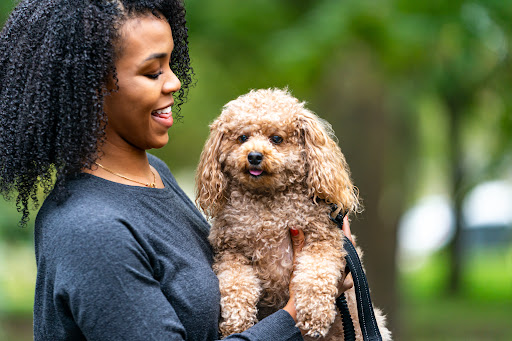 Thrive Pet Healthcare - Saginaw