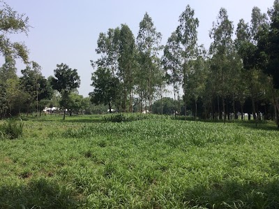 Photos of Betuan Central Mosque