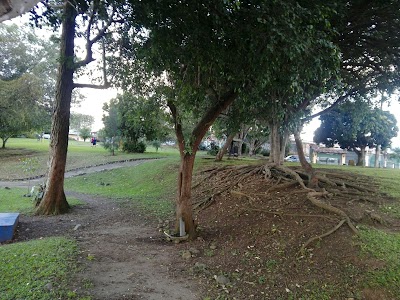 Photos of M. Peralta Park