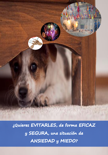 AliVet Clínica Veterinaria (Veterinario Urgencias Alicante 24h)