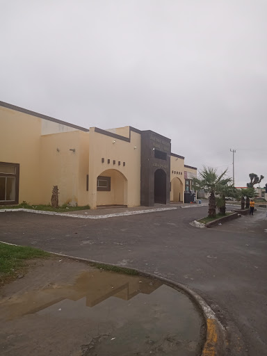 Auditorio Municipal Real de Palmas - Thumbnail