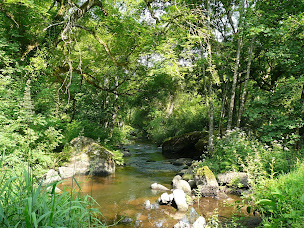 Photo n°1 de Hetre et bien être à Trégueux (Massothérapeute)