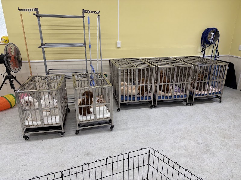 ブリーダー（子犬販売）Good Dog Kennel