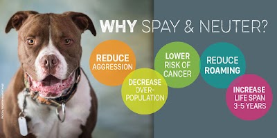 Photos of National Spay Alliance Foundation