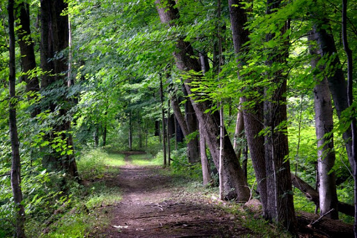 Florence W. Kuipers Memorial Park