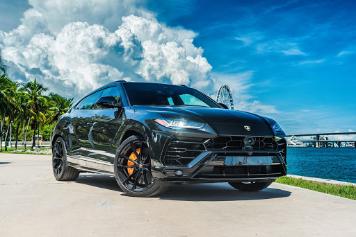 Push exotics ATL - Thumbnail
