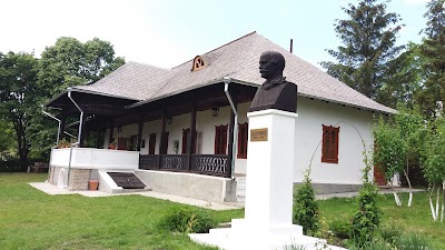 Photos of Alexandru Donici Estate