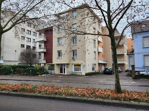 LOLA CHARLOIS