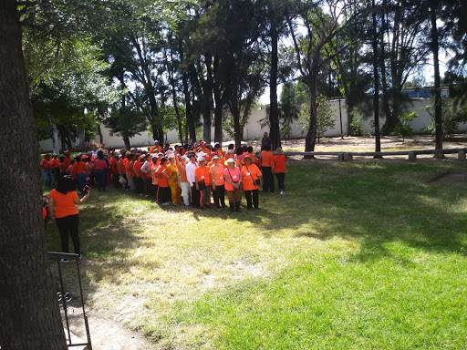 Campamento DIF Alfredo V. Bonfil - Thumbnail