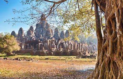Photos of Cambo Tours & Travel
