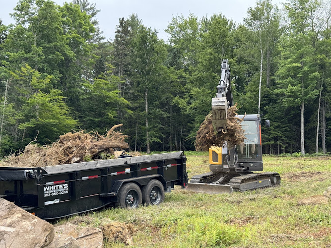 White's Brush Management & Excavation LLC