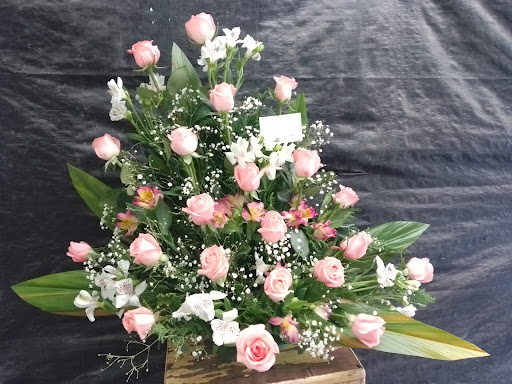 Alma Rosa - Thumbnail