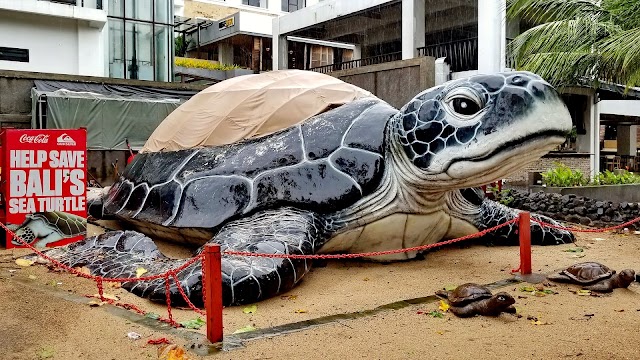 Bali Sea Turtle Society