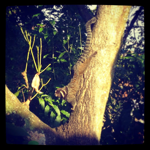 Hotel Maria Santa Teresa by null