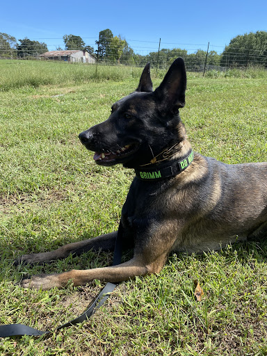 Kirby K9