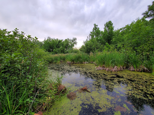 Beaver Hollow - Thumbnail