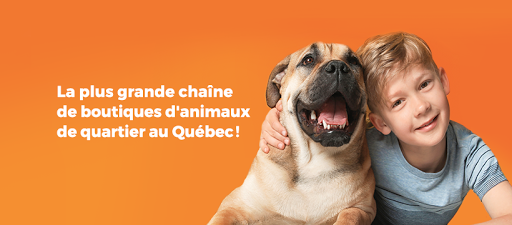 Boutique d'animaux Chico Prévost - Thumbnail