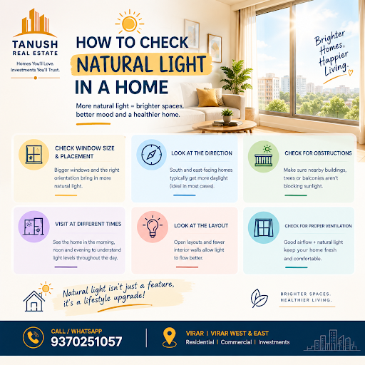 🌤️ How to Check Natural Light in a Home post image