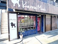 トイプードル専門ブリーダー・ケンネルマッシュ 大阪府松原市