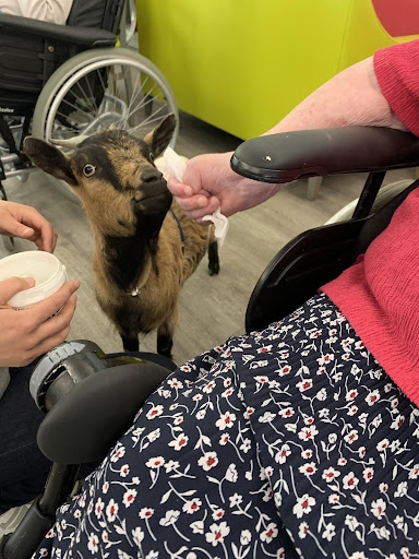 Photo de Résidence Saint Joseph à Chanzeaux (49750)