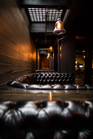 Blind Donkey by null