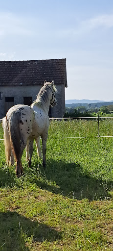 Area Equestrian Du Nivernais - Thumbnail