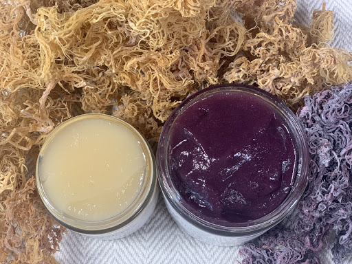 Infinite Sea Moss - Thumbnail