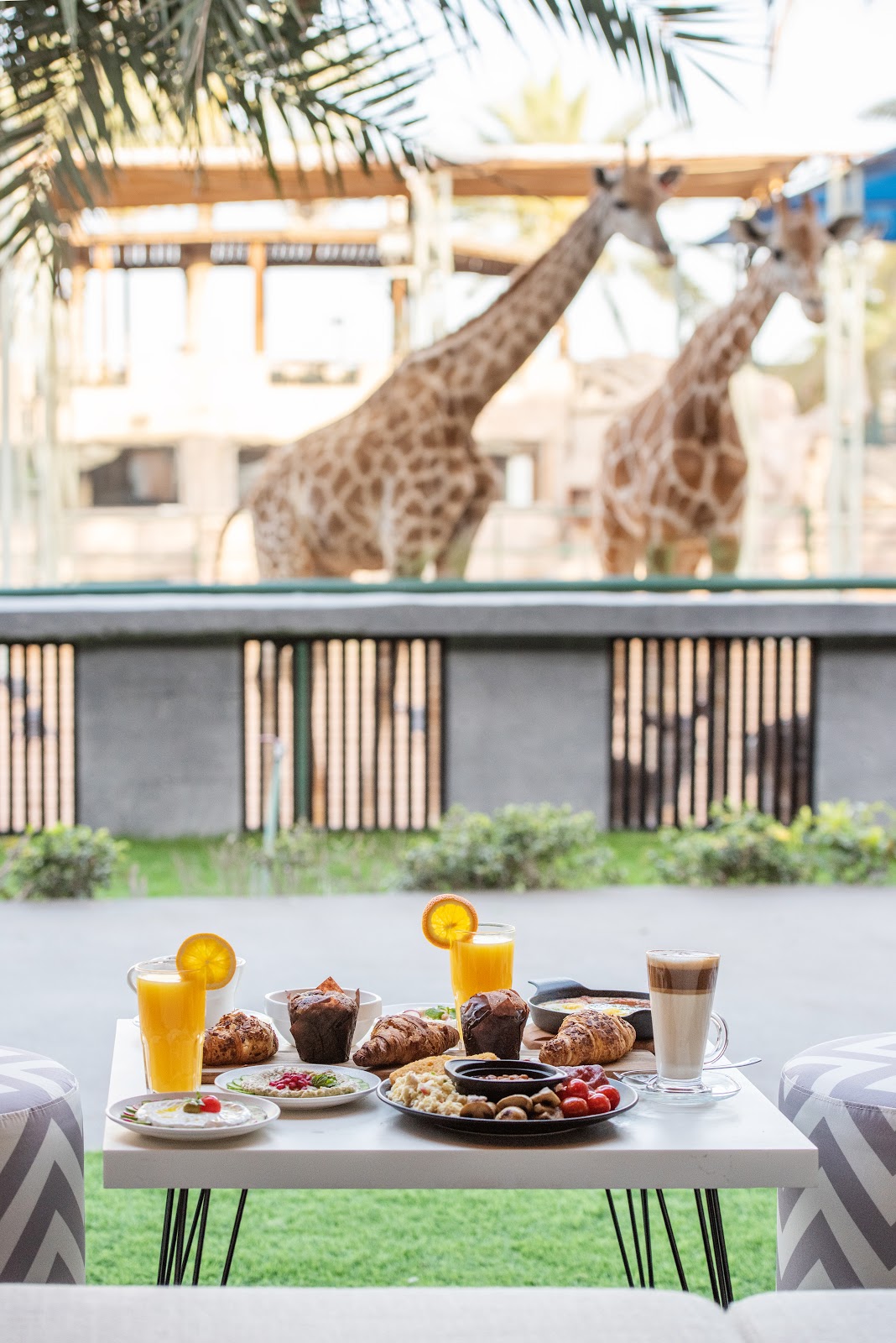 حديقة الإمارات للحيوانات - صورة 2