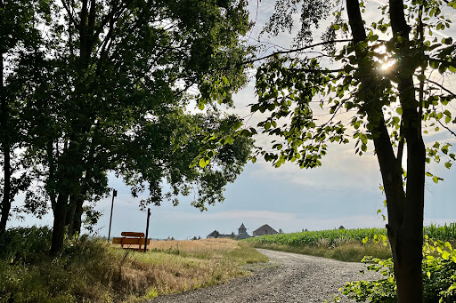 Triebestalblick - Visual