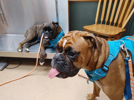 Southland Animal Hospital