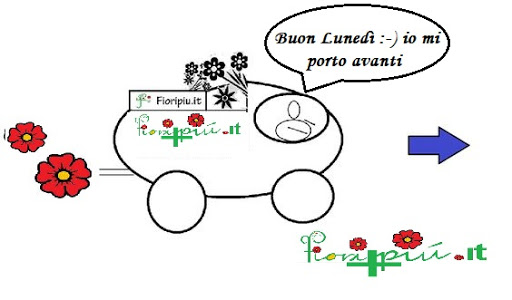 fioripiu.it - Visual