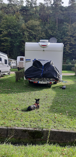 Campingplatz Wachenheim - Thumbnail