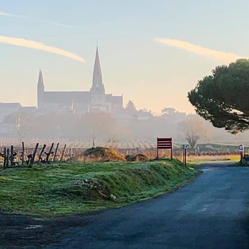 Domaine de la Salpetrière - Thumbnail