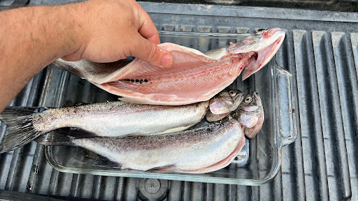 Smith's Mt. St. Helena Trout Farm & Hatchery Gallery - United States