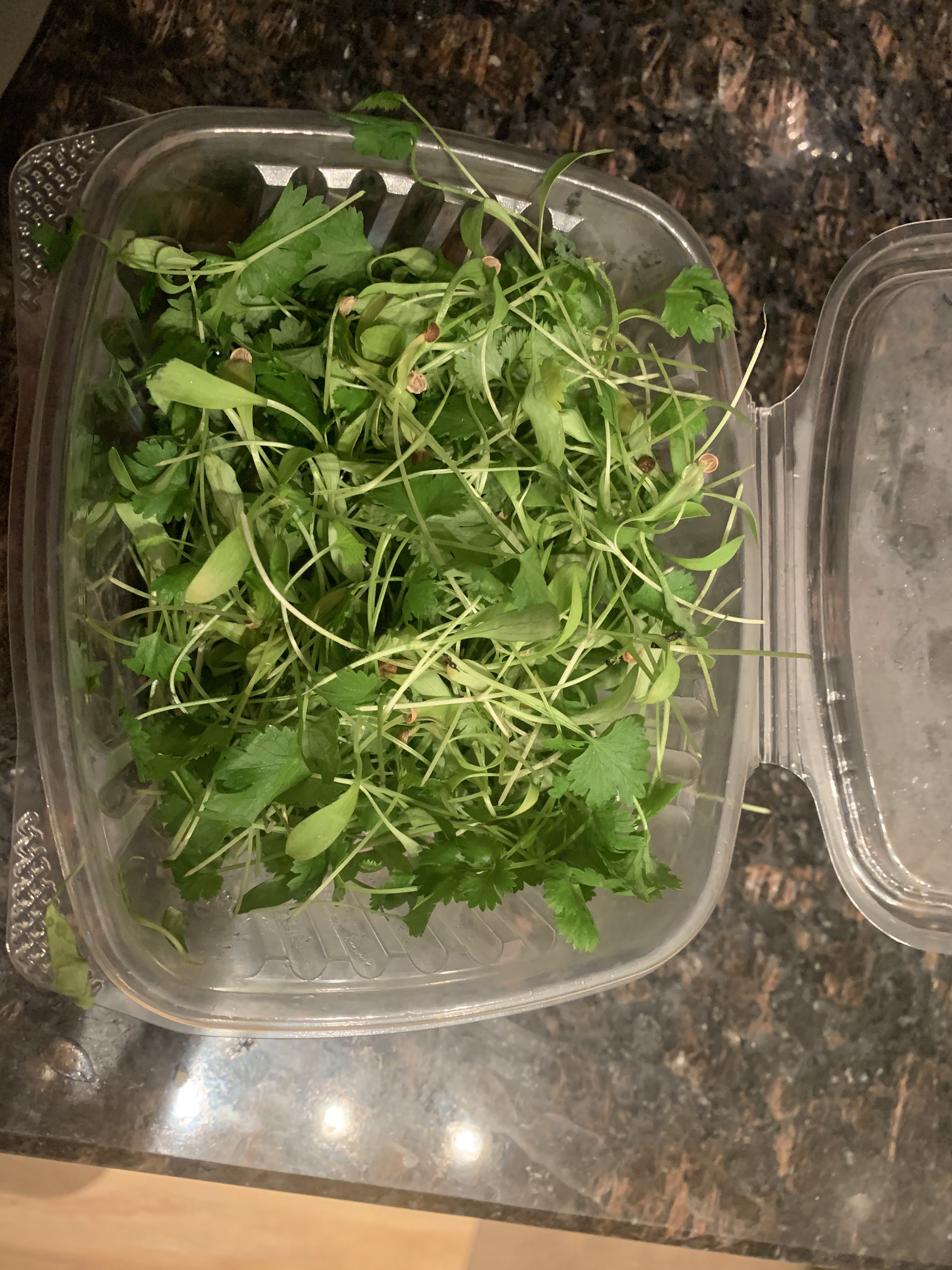 Fresh Impact Farms