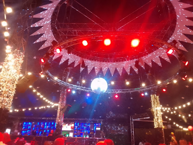 Bodega Feria - Champigny-sur-Marne