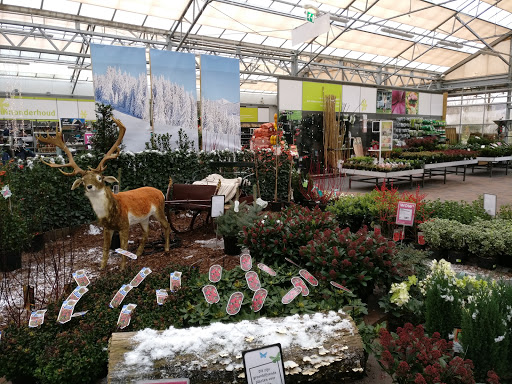 Intratuin Lelystad - Visual
