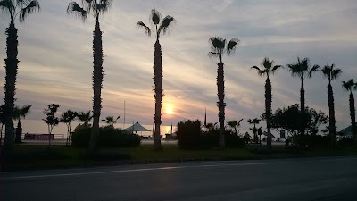 Photos of Kleopatra Beach 22