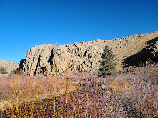 Cochetopa Creek Recreation Site