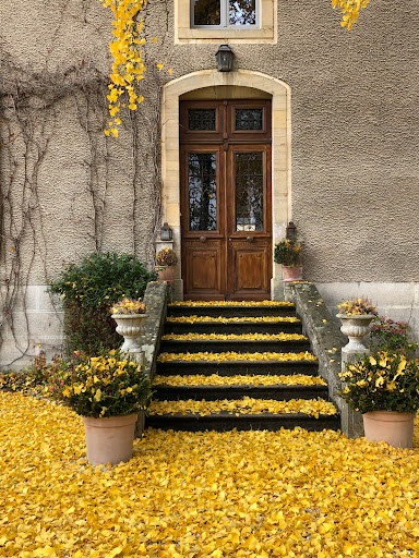 Photo 2 - Le Quarante-Neuf : Hôtel et Restaurant