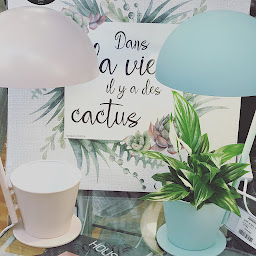 Photo n°18 de Bricomarché Vitré à Vitré (Magasin de poêles à bois)