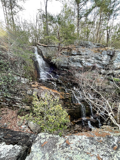 Tory's Den Cave Gallery - United States