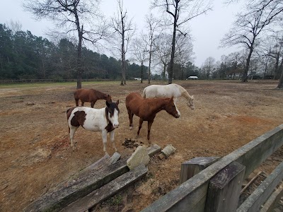 Angels Grove Ranch and Horse Rescue