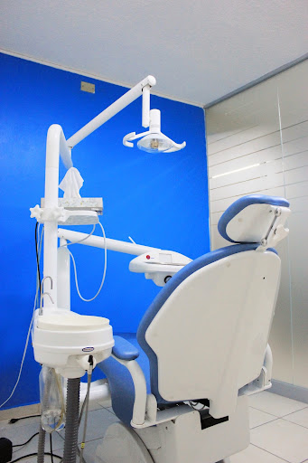 Biodentis - Visual