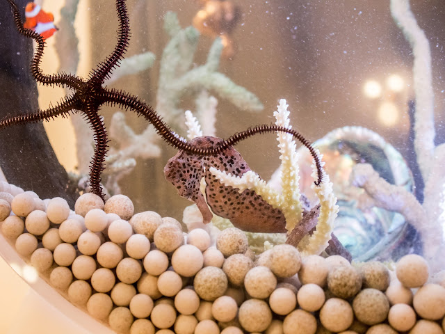 DORMERO Hotel Halle by null