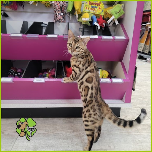 Super canito pet integral health care - Thumbnail
