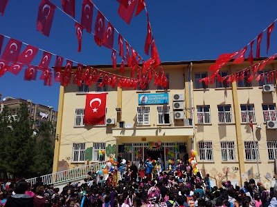 school